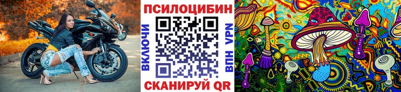 Галлюциногенные грибы Psilocybe  Славгород 